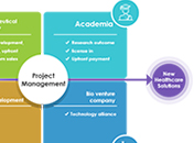 Virtual business structure and Project management