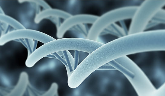 Development of improved bio medicines by a protein engineering.