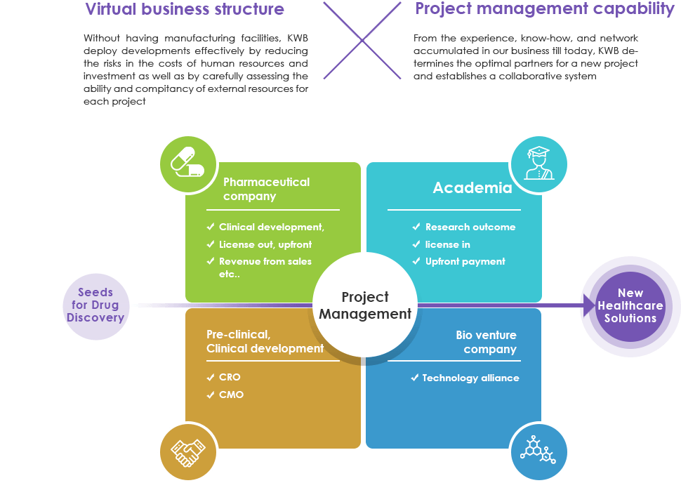 Virtual business structure and Project management