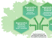 Establishment of Cell Therapy Platform