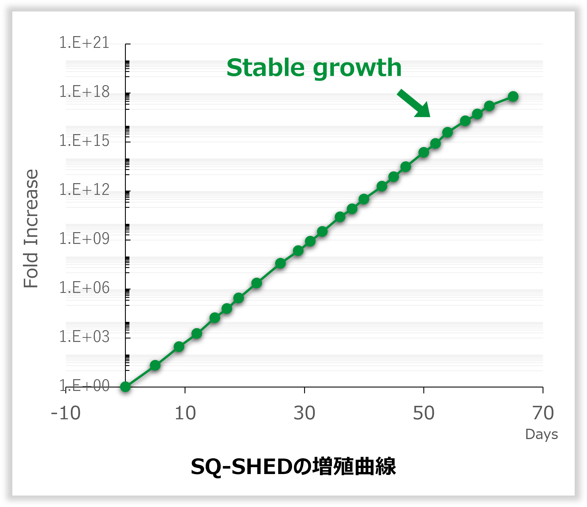 SQ-SHEDの増殖曲線